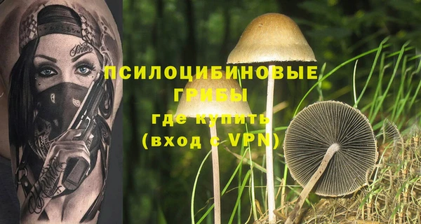 а пвп мука Ладушкин
